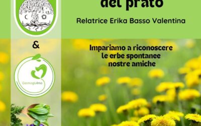 Le piante commestibili del prato