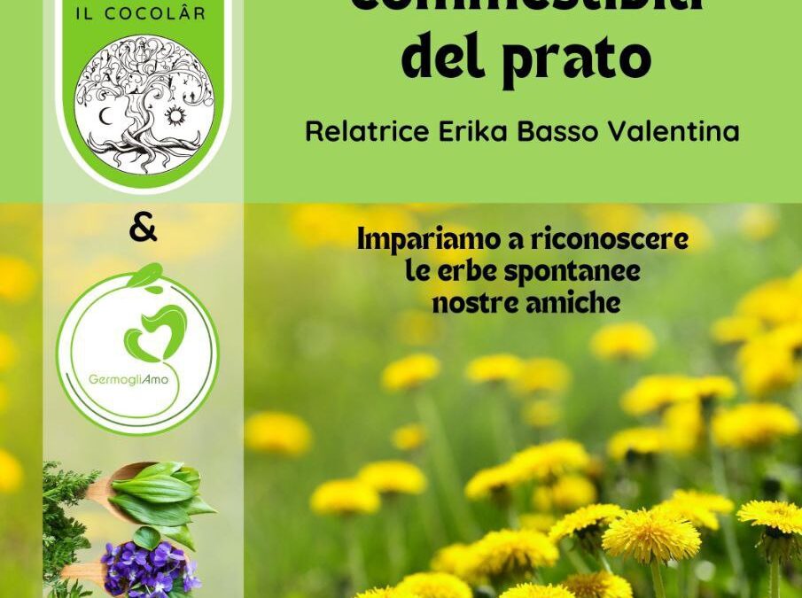 Le piante commestibili del prato